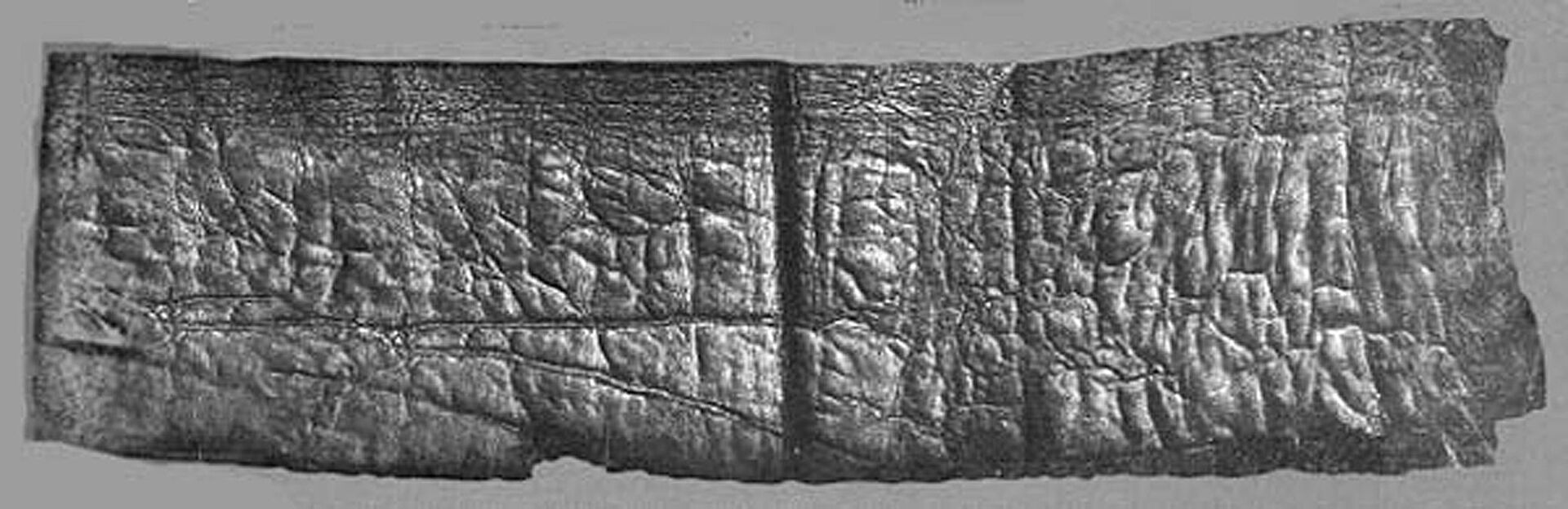 Pergaminho perdido antes considerado falso pode ser o mais antigo manuscrito bíblico da história - Sputnik Brasil, 1920, 11.03.2021