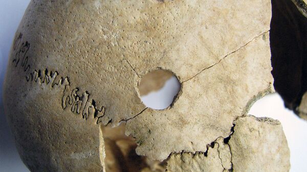 Crânio de vala comum do Neolítico encontrado na povoação de Potocani, Croácia - Sputnik Brasil