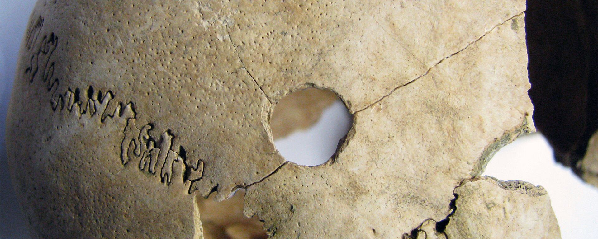 Crânio de vala comum do Neolítico encontrado na povoação de Potocani, Croácia - Sputnik Brasil, 1920, 15.10.2023