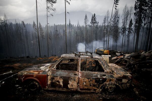 Veículo queimado em incêndio florestal em Las Golondrinas, Argentina
 - Sputnik Brasil
