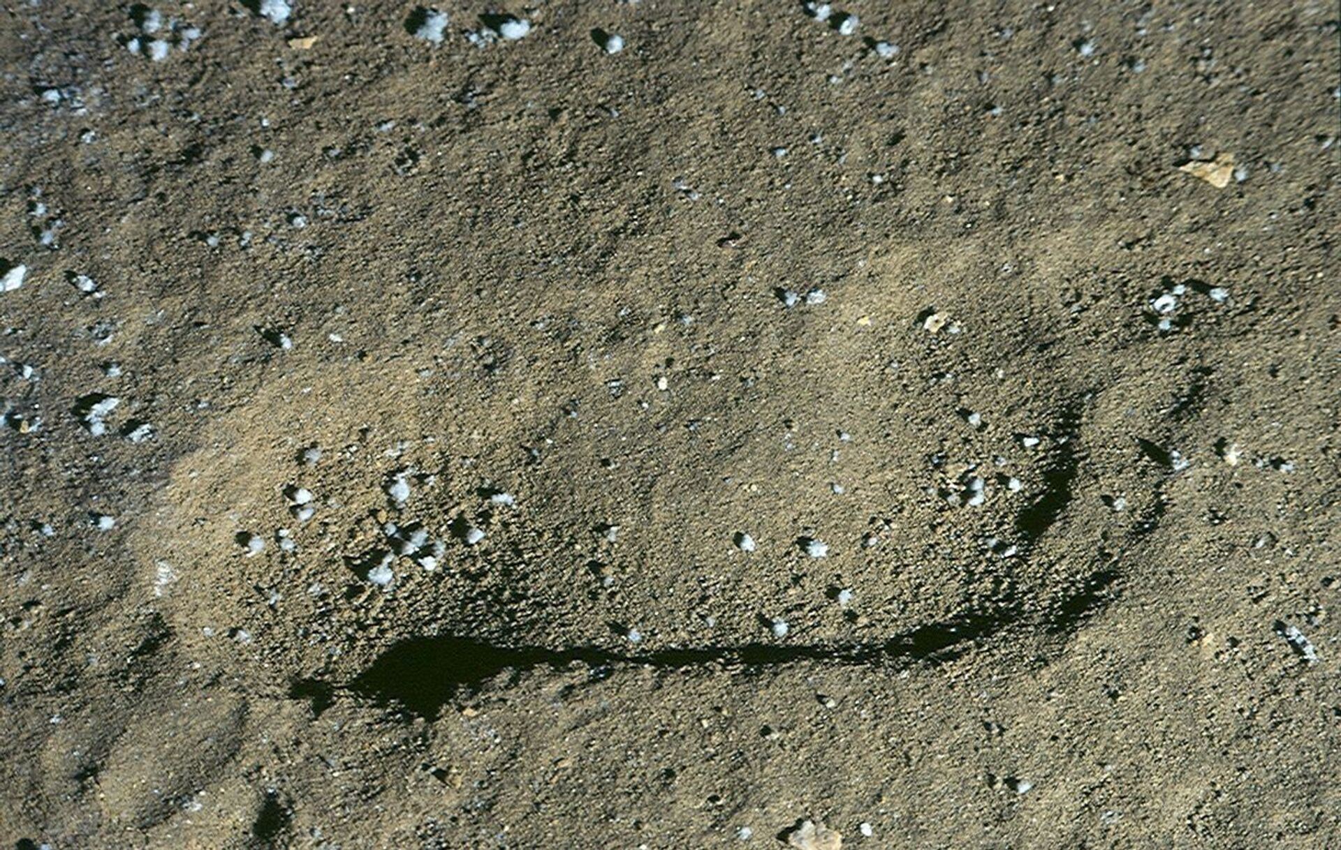 Pegadas humanas de mais de 4 mil anos são estudadas 50 anos depois de descobertas na Espanha (FOTOS) - Sputnik Brasil, 1920, 18.03.2021