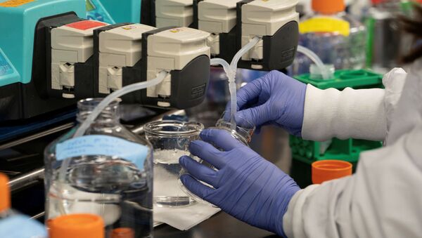 Em San Diego, no estado norte-americano da Califórnia, cientistas conduzem pesquisas de uma vacina contra a COVID-19 nos laboratórios da Arcturus Therapeutics, em 17 de março de 2020 - Sputnik Brasil