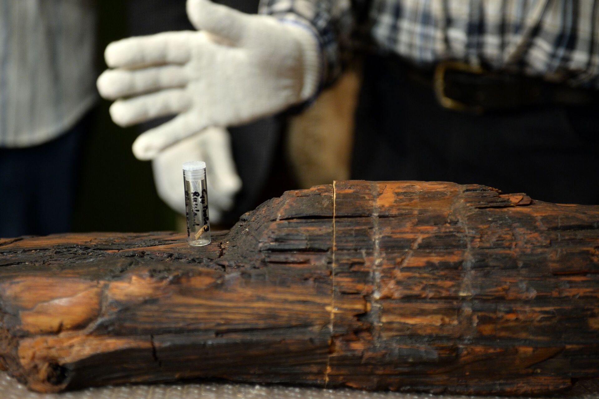 Máscara de madeira mais antiga do mundo tem 7 mil anos mais do que Stonehenge (FOTOS) - Sputnik Brasil, 1920, 23.03.2021