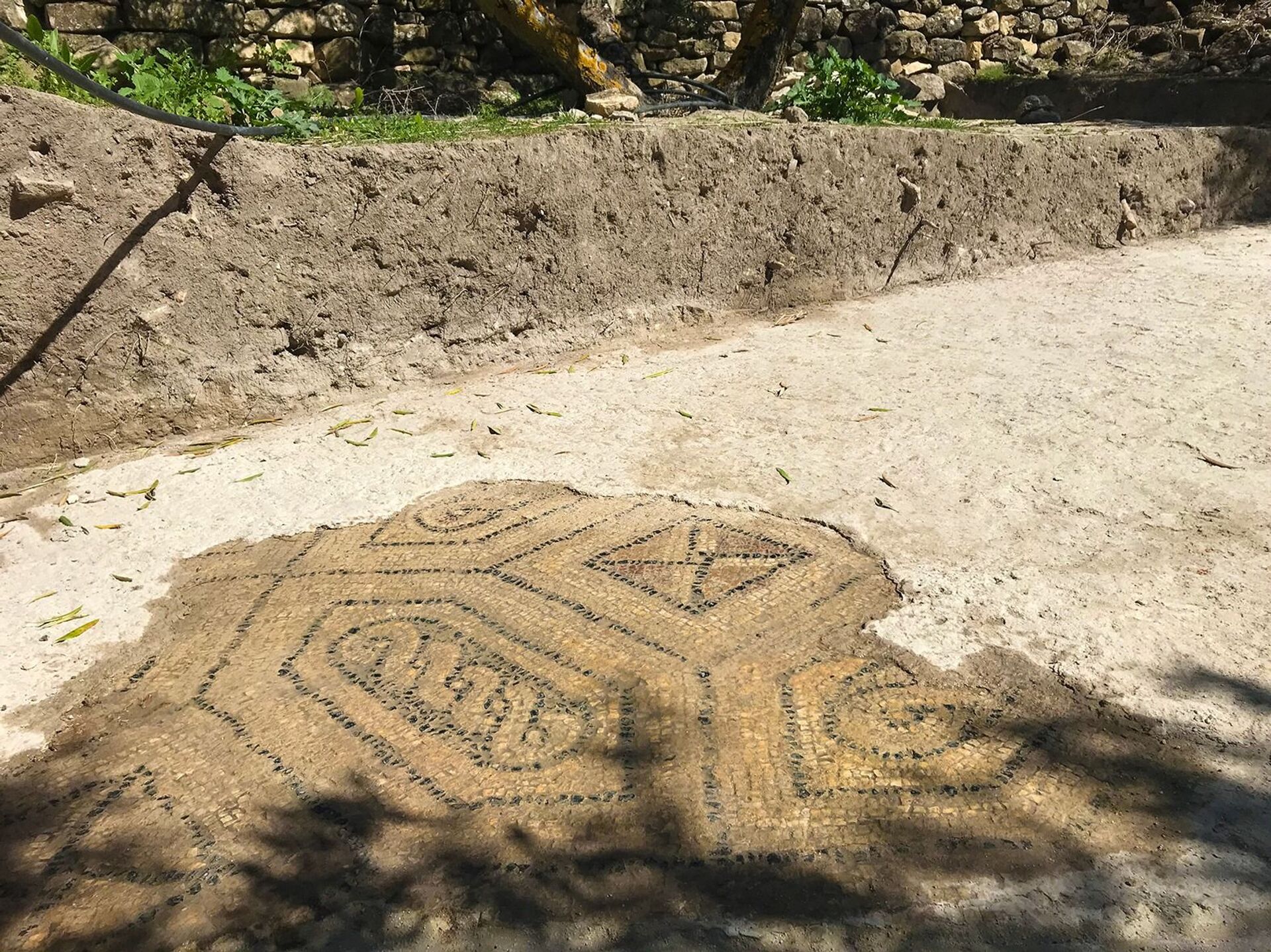 Mosaicos, sepultamentos e oficinas: fazenda romana do século IV é descoberta na Espanha (FOTOS) - Sputnik Brasil, 1920, 25.03.2021