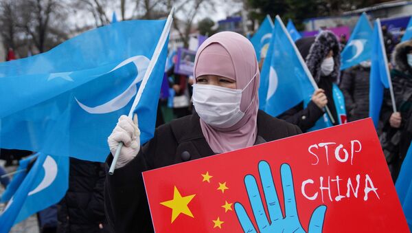 Manifestante exibe bandeira do Turquestão Oriental durante protesto contra visita do chanceler chinês à Turquia - Sputnik Brasil