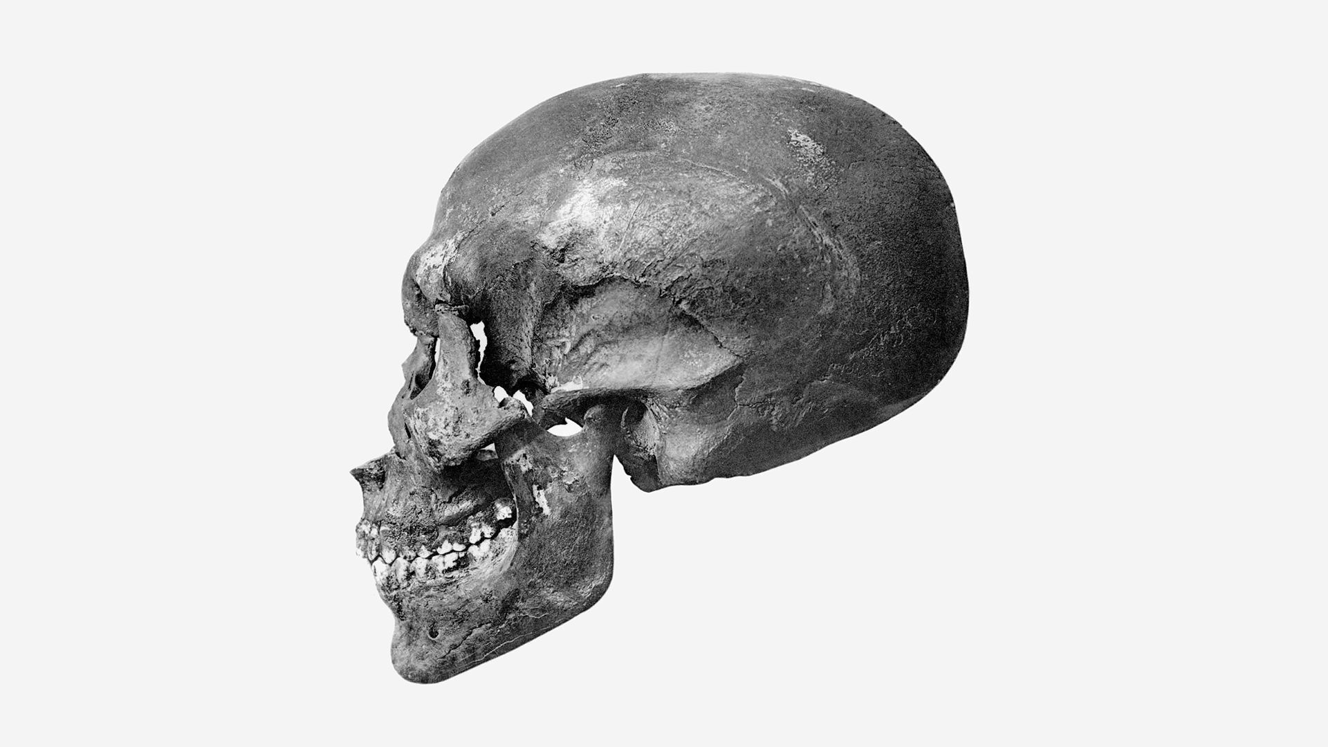 Rosto de pai do rei Tutancâmon é revelado em reconstrução facial 3D de artista brasileiro (FOTOS) - Sputnik Brasil, 1920, 26.03.2021