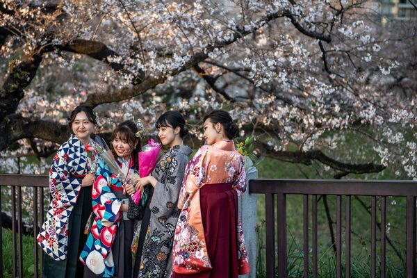 Moças usando hakama, um traje tradicional para cerimônias de formatura da universidade, posam para fotos por baixo de uma cerejeira em flor em Tóquio, Japão
 - Sputnik Brasil