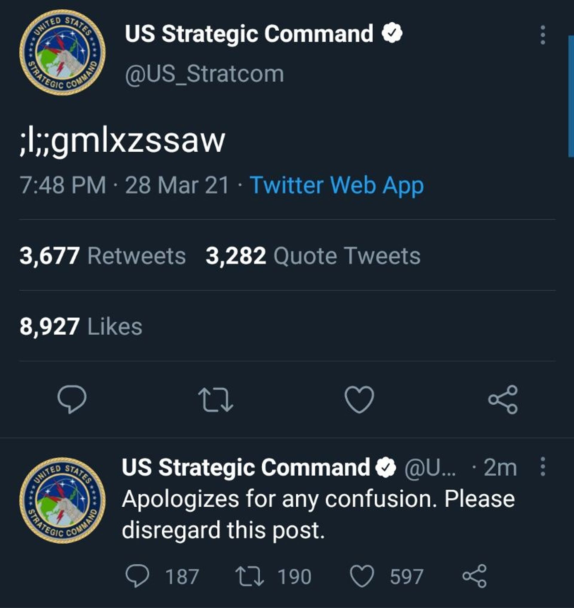 Mensagem secreta? Tweet do Comando Estratégico dos EUA foi, na verdade, escrito por criança - Sputnik Brasil, 1920, 30.03.2021