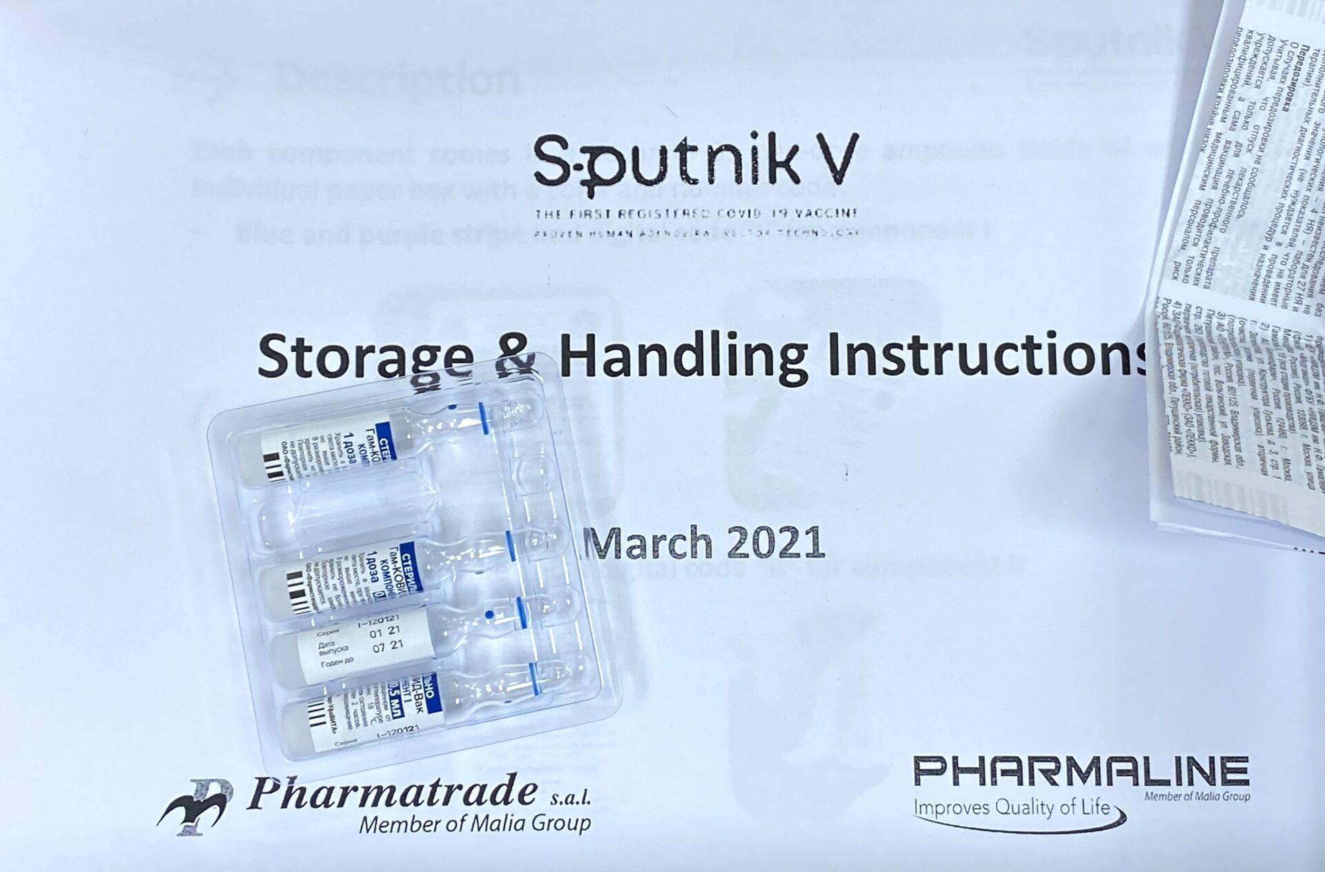 Sputnik V protege melhor contra cepa sul-africana do que vacina da Pfizer, diz fonte - Sputnik Brasil, 1920, 05.04.2021