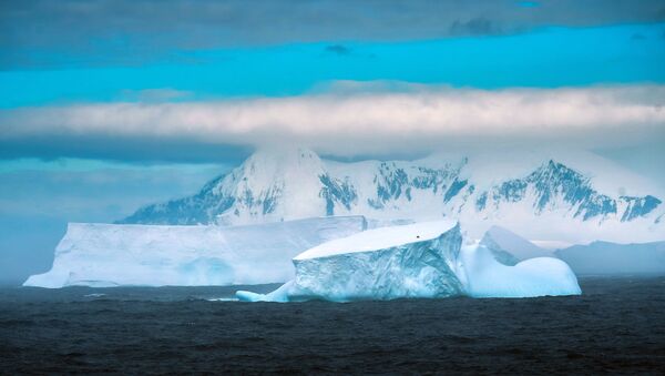 Cabo de Maskar, na ilha Adelaide, Antártica, 22 de fevereiro de 2020 - Sputnik Brasil