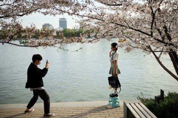Pessoas tiram foto ao lado de uma árvore florida durante a temporada da flor de cerejeira no parque Yuyuantan, Pequim, China, 31 de março de 2021 - Sputnik Brasil