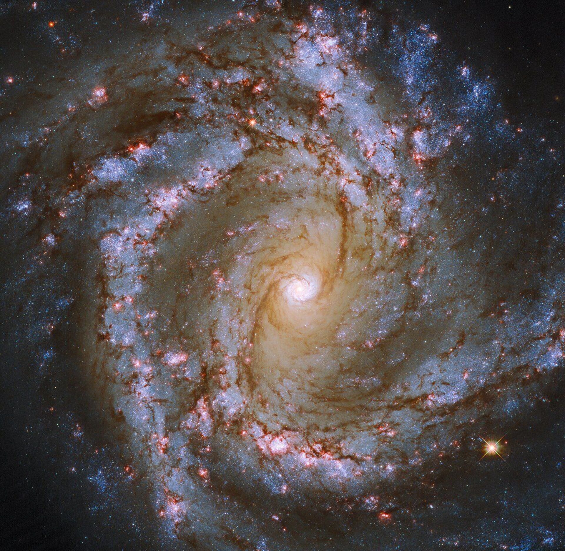 Hubble capta IMAGEM do coração 'iluminado' da galáxia M61 - Sputnik Brasil, 1920, 05.04.2021