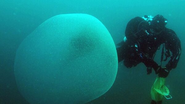 Misteriosa bolha opaca flutuando entre a superfície e fundo marinho - Sputnik Brasil