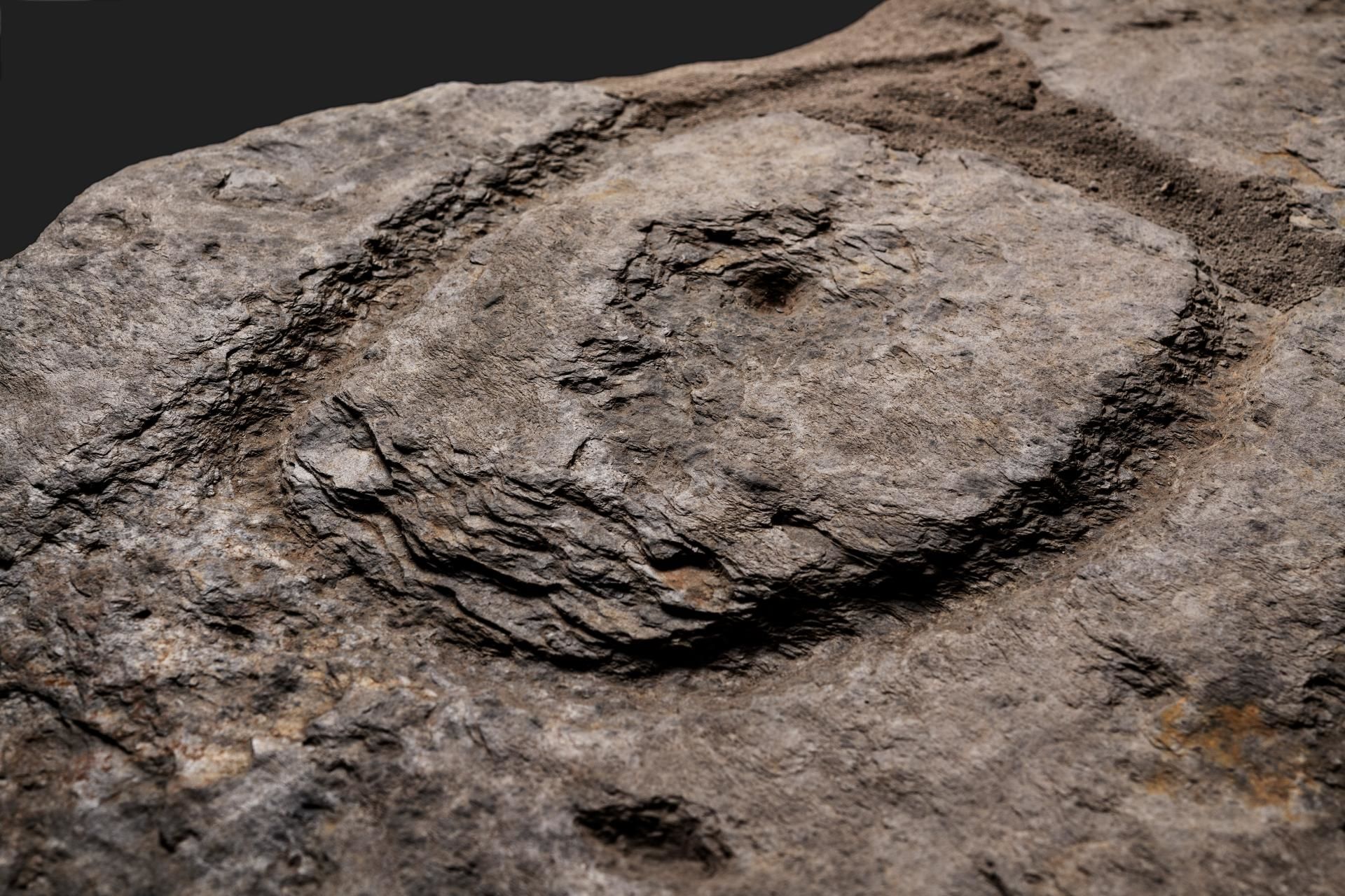 Tesouro esquecido: pedra da Idade do Bronze pode conter o mais antigo mapa europeu já feito (FOTOS) - Sputnik Brasil, 1920, 07.04.2021