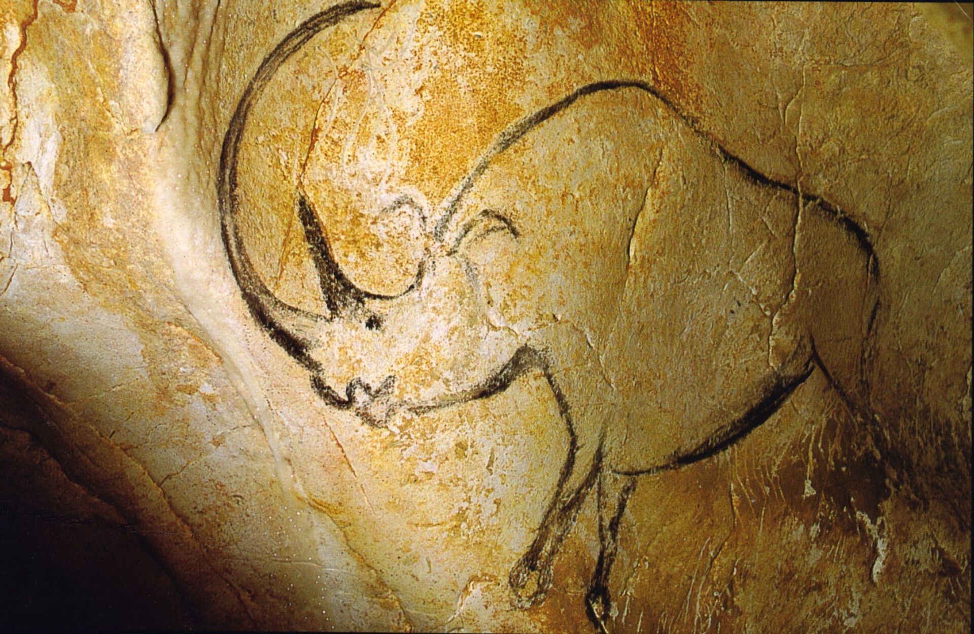 Pesquisadores explicam fenômeno responsável por pinturas rupestres na 'escuridão' das cavernas - Sputnik Brasil, 1920, 07.04.2021
