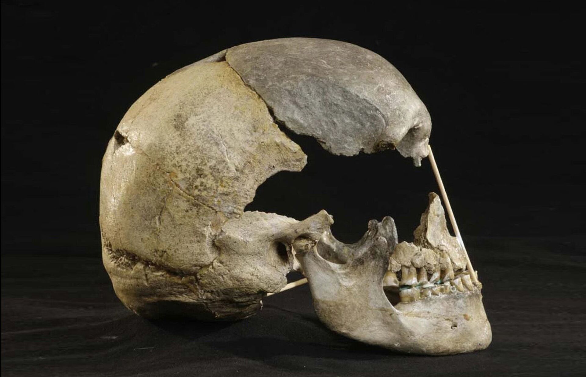 Pitada de genes neandertais: cientistas reconstroem o genoma mais antigo do homem europeu (FOTO) - Sputnik Brasil, 1920, 08.04.2021
