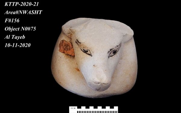 Objeto encontrado em escavações de cidade construída há mais de 3.000 anos no Egito - Sputnik Brasil