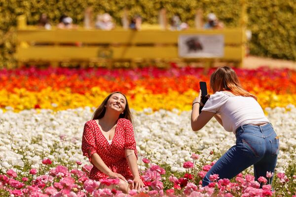 Moças tiram fotos em campo de flores em Carlsbad, Califórnia, EUA - Sputnik Brasil