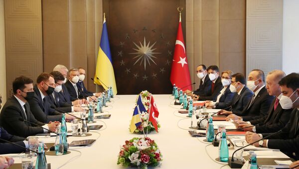 O presidente turco, Recep Tayyip Erdogan, e o presidente da Ucrânia, Vladiimr Zelenskiy, participam de uma reunião em Istambul - Sputnik Brasil