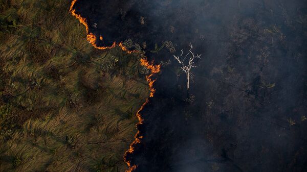 Queimadas na Floresta Amazônica, em Porto Velho (RO) - Sputnik Brasil