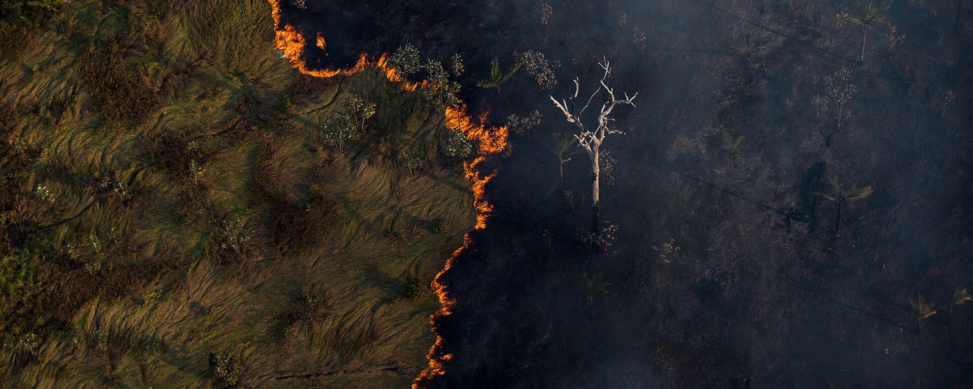 Queimadas na Floresta Amazônica, em Porto Velho (RO) - Sputnik Brasil, 1920, 13.12.2021