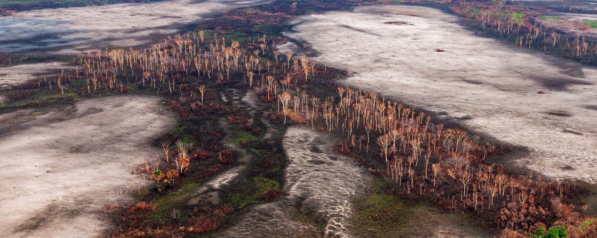 Desmatamento na Floresta Amazônica, 29 de agosto de 2019 - Sputnik Brasil, 1920, 09.06.2022