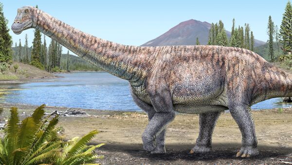 Impressão artística de um dinossauro herbívoro descoberto no deserto de Atacama, no Chile - Sputnik Brasil