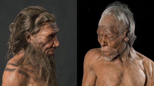 Reconstrução de neandertal e Homo sapiens pelos irmãos Kennis no Museu de História Natural de Londres - Sputnik Brasil