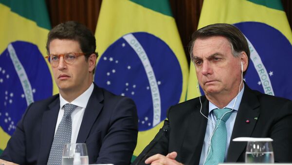 O presidente do Brasil, Jair Bolsonaro, e o ministro do Meio Ambiente, Ricardo Salles, participam da Cúpula do Clima virtual por meio de um link de vídeo em Brasília, Brasil, em 22 de abril de 2021 - Sputnik Brasil