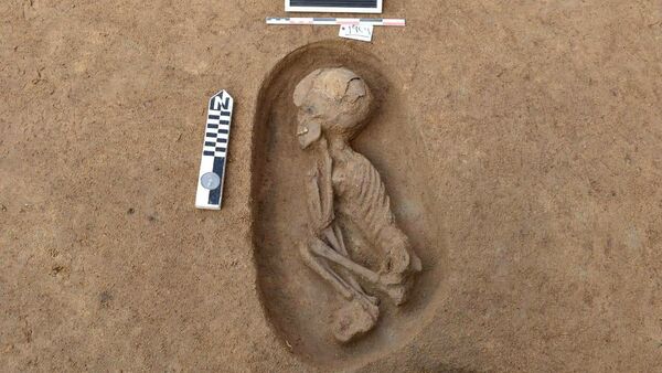 Tumba com restos humanos é descoberta no delta do Nilo, no Egito  - Sputnik Brasil
