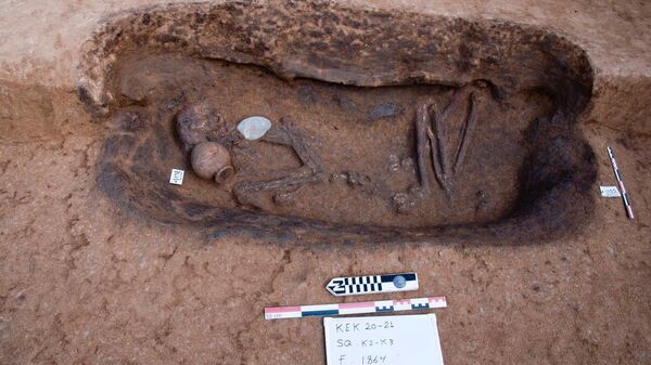 Esqueleto em tumba rara no delta do Nilo (imagem referencial) - Sputnik Brasil