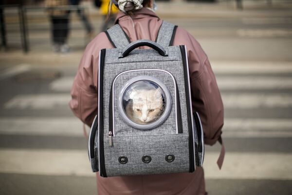 Mulher leva um gato em sua mochila, Oslo, Noruega, 25 de abril de 2021 - Sputnik Brasil