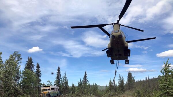 Militares do Exército da Guarda Nacional do Alasca usam helicóptero CH-47 Chinook durante missão de treinamento para remover ônibus abandonado, popularizado pelo livro e filme Na Natureza Selvagem, de sua localização no interior do Alasca, EUA, 18 de junho de 2020 - Sputnik Brasil