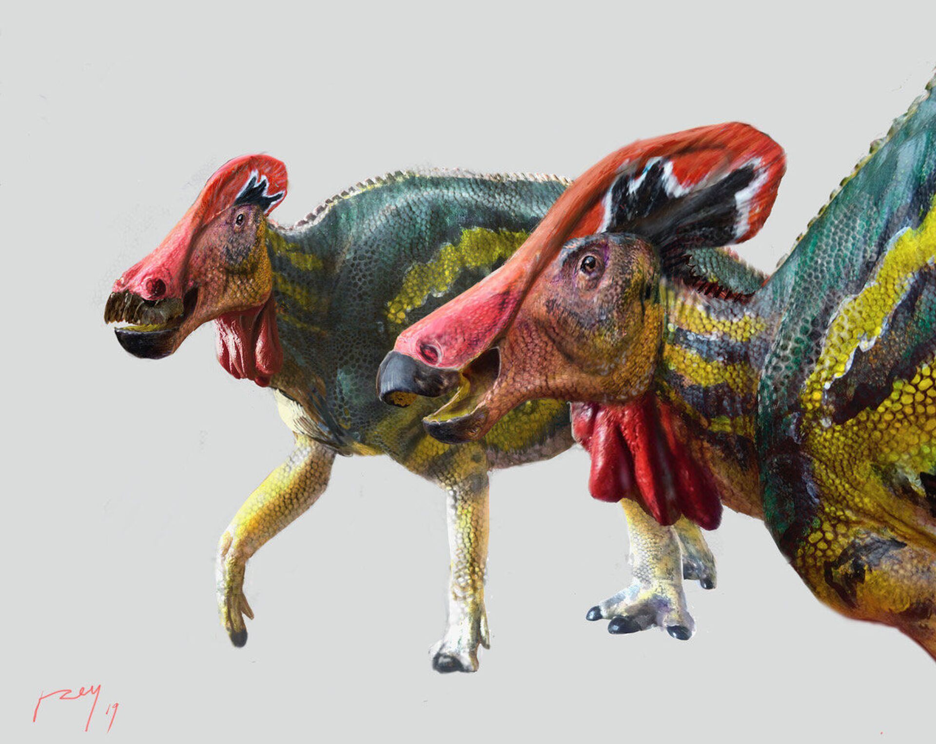 'Papagaiossauro'? Identificada no México nova espécie de dinossauro que emitia sons (FOTO) - Sputnik Brasil, 1920, 14.05.2021