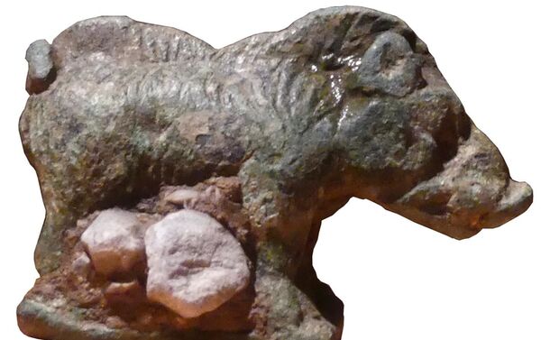 Figura de um javali encontrada em templo do período romano em Bâtie-Montsaléon, França - Sputnik Brasil