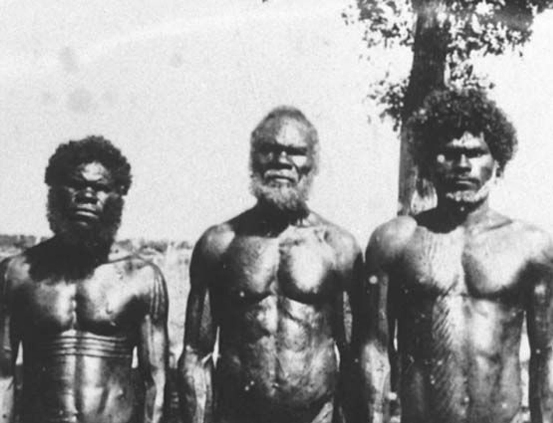Método de memorização de aborígenes australianos usado há 50 mil anos supera o grego, diz pesquisa - Sputnik Brasil, 1920, 21.05.2021