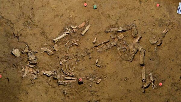 Tumba de uma mulher da Idade do Bronze é encontrada na Alemanha - Sputnik Brasil