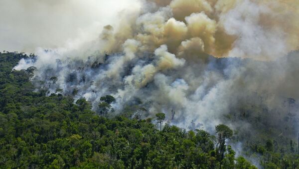 Vista aérea de queimadas na Amazônia, ao sul de Novo Progresso, no estado do Pará, em 16 de agosto de 2020 - Sputnik Brasil