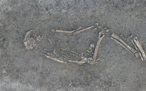 Esqueleto encontrado em antigo assentamento da Idade da Pedra, na França - Sputnik Brasil