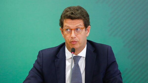 Ministro do Meio Ambiente do Brasil, Ricardo Salles, durante coletiva de imprensa, 22 de abril de 2021 - Sputnik Brasil