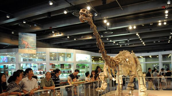 Fóssil de um dinossauro Lufengosaurus  - Sputnik Brasil