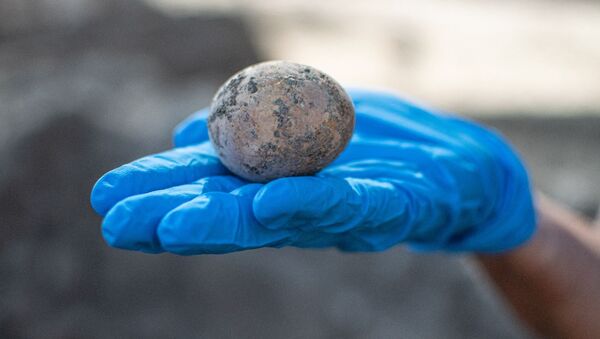 Ovo de galinha de 1.000 anos encontrado em Israel - Sputnik Brasil