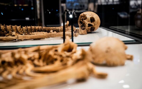 Esqueletos de dois guerreiros vikings da mesma família exibidos no Museu Nacional da Dinamarca  - Sputnik Brasil