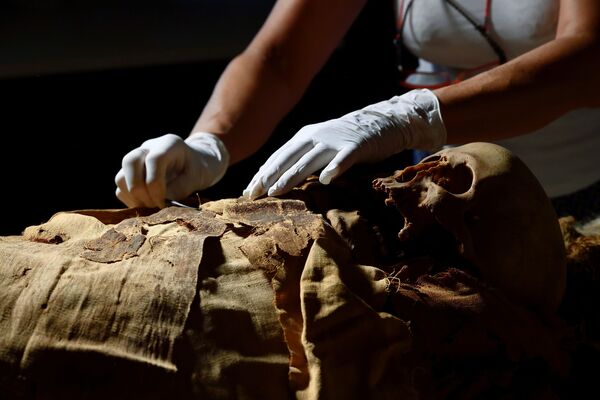 Mãos de um pesquisador enquanto se prepara para mover a múmia egípcia de Bergamo para Milão, Bergamo, Itália, 21 de junho de 2021 - Sputnik Brasil