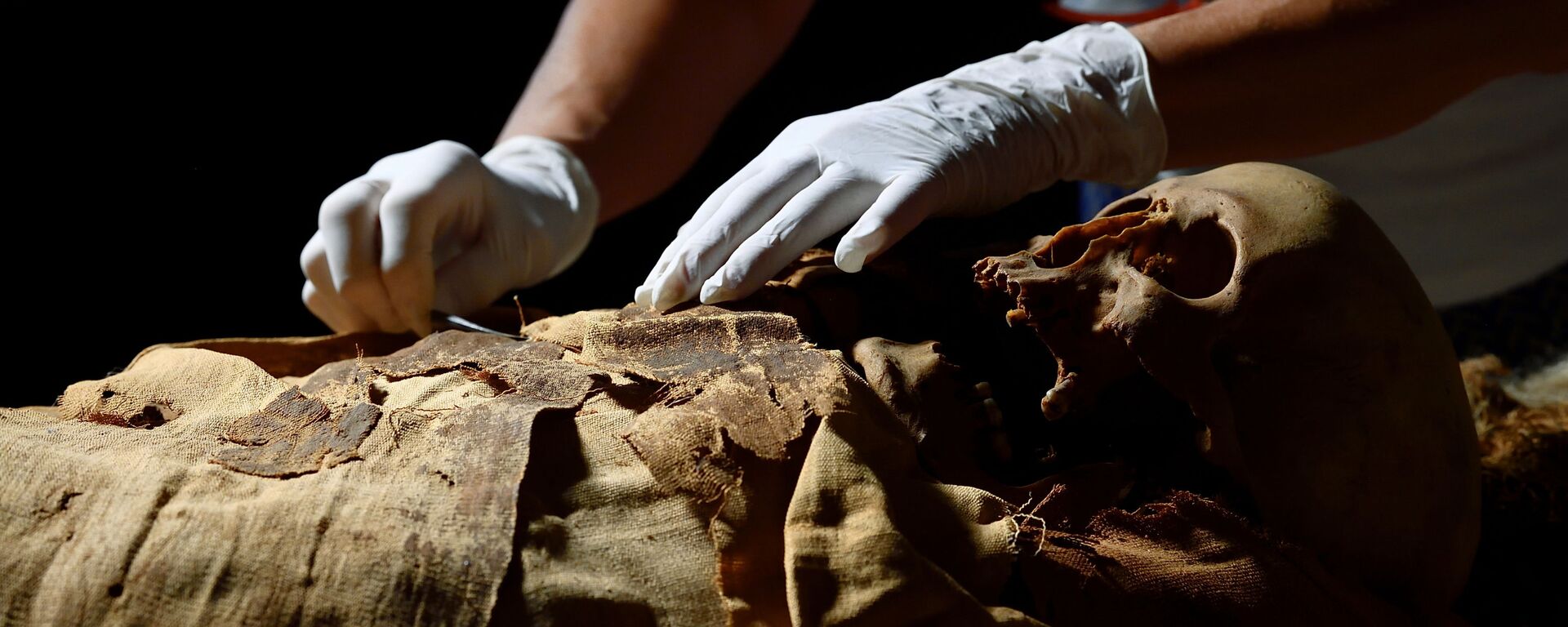 Mãos de um pesquisador enquanto se prepara para mover a múmia egípcia de Bergamo para Milão, Bergamo, Itália, 21 de junho de 2021 - Sputnik Brasil, 1920, 31.12.2021