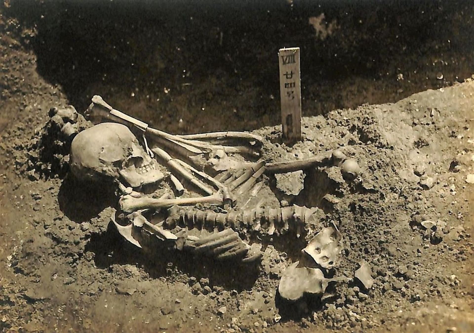 Esqueleto de 3.000 anos revela a mais antiga vítima de tubarão já descoberta (FOTO) - Sputnik Brasil, 1920, 24.06.2021