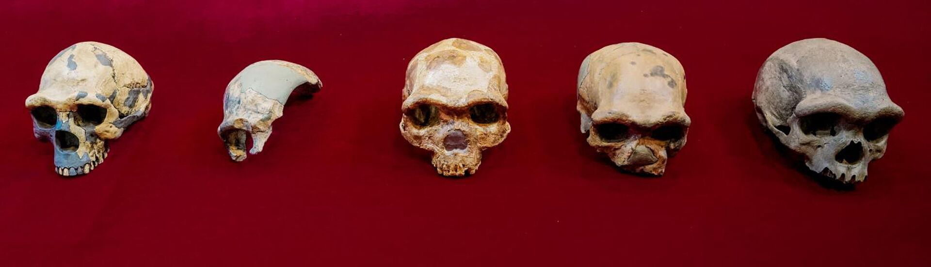 'Homem Dragão' pode ser nosso parente mais próximo e não neandertais, dizem cientistas (FOTOS) - Sputnik Brasil, 1920, 25.06.2021