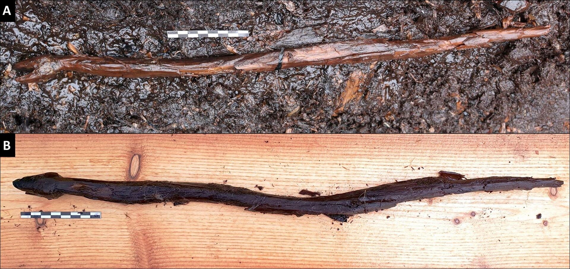 Enigmática escultura de cobra da Idade da Pedra pode indicar xamanismo na Finlândia (FOTOS) - Sputnik Brasil, 1920, 29.06.2021