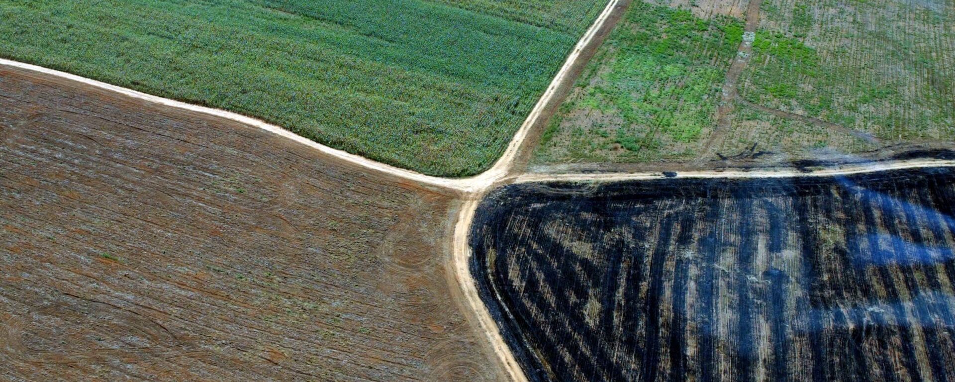 Restos de floresta desmatada são queimados perto de plantações de soja, no município de Querência (Mato Grosso). As fronteiras da devastação na Amazônia estão se ampliando para além do arco do desmatamento (foto de arquivo) - Sputnik Brasil, 1920, 25.02.2023