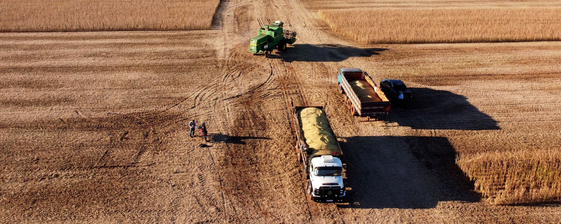 A safra de grãos de verão 2020/21 deve somar 23,9 milhões de toneladas em uma área de 6,1 milhões de hectares, de acordo com o Departamento de Economia Rural (Deral), da Secretaria de Estado da Agricultura e do Abastecimento. Campo Mourão, Paraná, 26 de fevereiro de 2021 - Sputnik Brasil, 1920, 06.05.2023